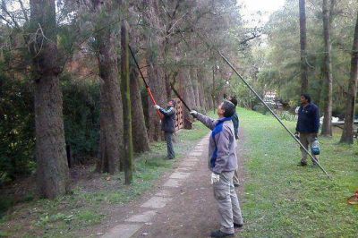 Trabajos de mantenimiento en el Museo Sarmiento de Tigre