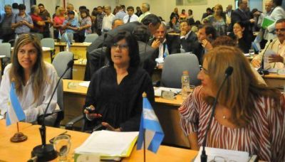 Concejala copi� el pol�mico proyecto de sem�foros igualitarios