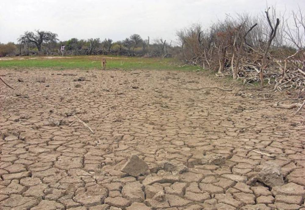 Seg�n el primer �ndice: el Departamento Gral. Manuel Belgrano, 2� en el ranking de ciudades argentinas con mejor calidad ambiental