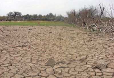 Seg�n el primer �ndice: el Departamento Gral. Manuel Belgrano, 2� en el ranking de ciudades argentinas con mejor calidad ambiental