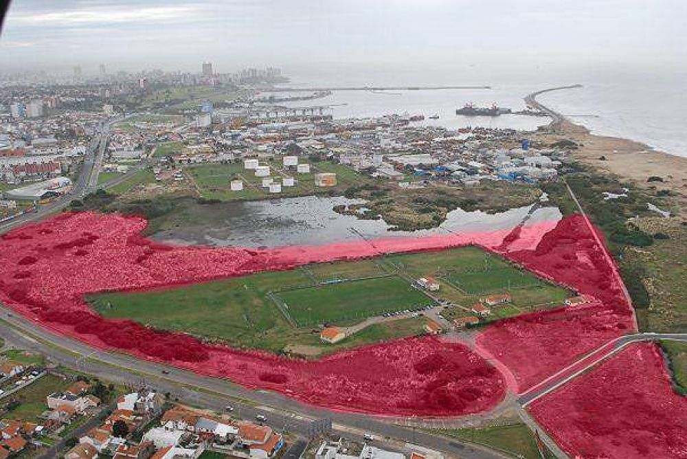 Reserva del Puerto: La deuda ambiental de Mar del Plata