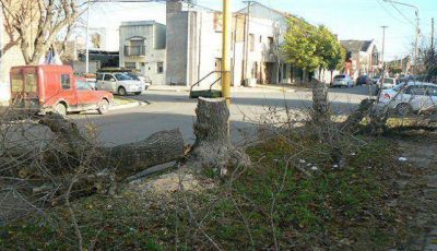 Por obras, interrumpieron el tr�nsito en Castelli al 500