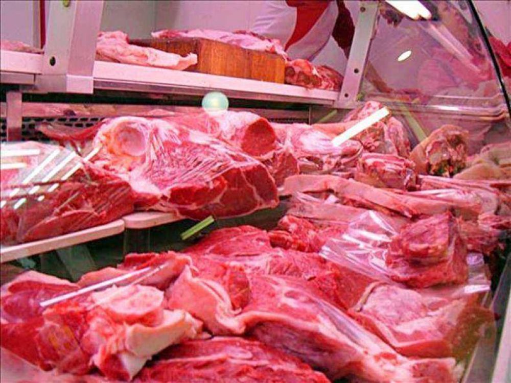 Se controlaron m�s de 500 mil kilos de carne