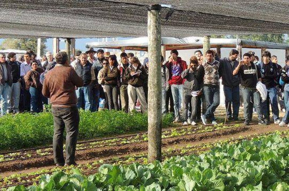 Exitosa jornada en cultivos intensivos se realiz� en la EEA el colorado del INTA