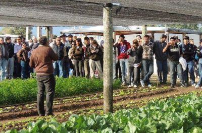 Exitosa jornada en cultivos intensivos se realiz� en la EEA el colorado del INTA