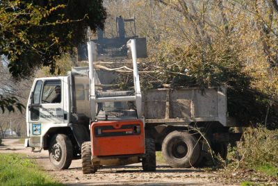 Contin�an los trabajos de saneamiento y limpieza de canales
