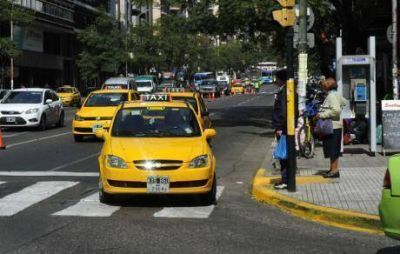 Taxis: 261 chapas m�s desde fines de 2011