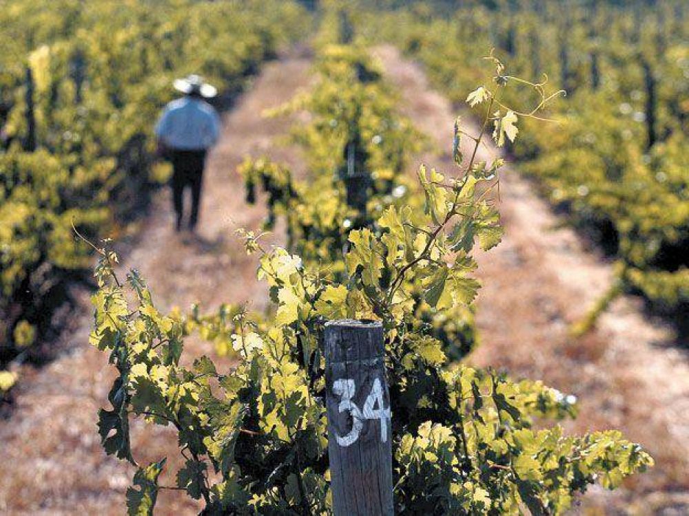 Ratifican que bodegueros ser�n exceptuados de pagar entre el 50 y 100% de aportes patronales