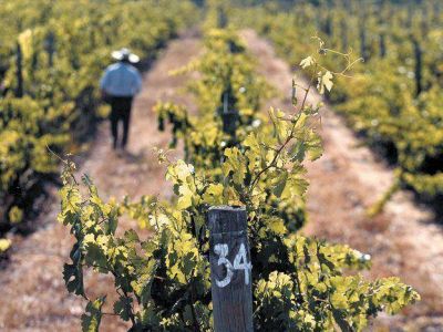 Ratifican que bodegueros ser�n exceptuados de pagar entre el 50 y 100% de aportes patronales
