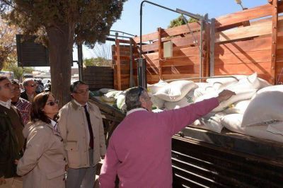 Productores recibieron casi medio mill�n de pesos por la venta de nuez y pimiento