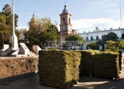 Inici� la colocaci�n de c�sped en la Plaza