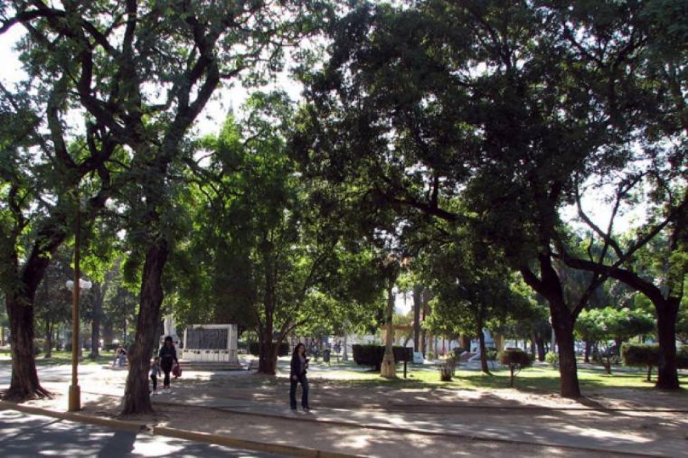 Destacan la preservaci�n de los �rboles del parque Alberdi