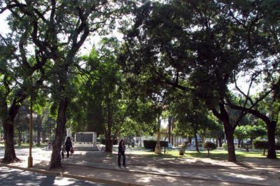 Destacan la preservaci�n de los �rboles del parque Alberdi