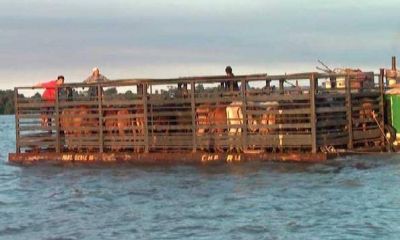 Por la crecida en Ituzaing� se evacuaron 65 familias