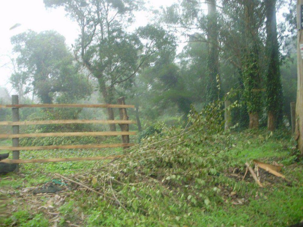 Lotes de Estaci�n Camet son usurpados sin control municipal