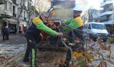 Comenz� la campa�a invernal de poda 2014