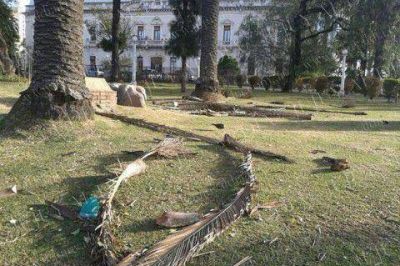 Fort�simas r�fagas de viento azotaron nuestra ciudad esta madrugada