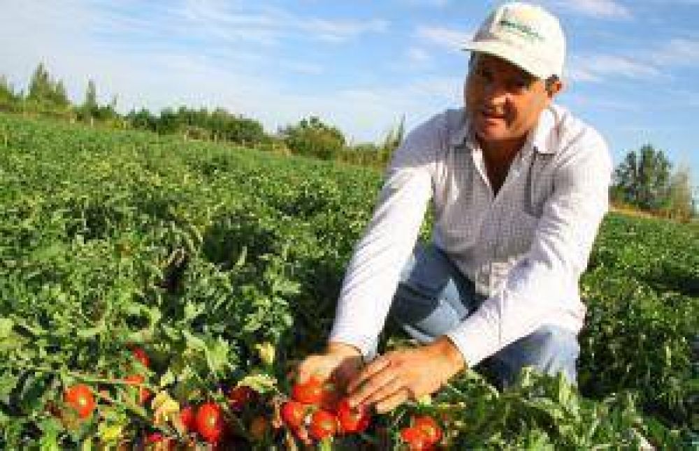 La expo de tomate, con un gran despliegue tecnol�gico