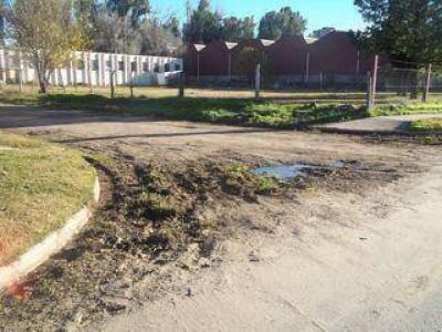 En Juana Koslay arreglan las calles como la mona