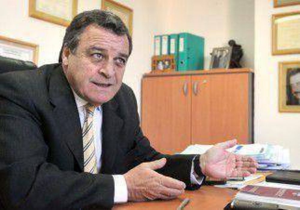La Justicia le dio la raz�n al Municipio por la tala de �rboles 