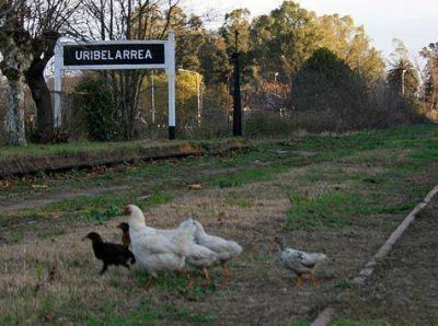 Construir�n un complejo de caba�as en Uribelarrea
