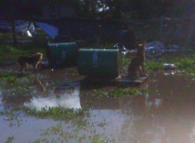 El refugio �Los Rescatados� se inund� y necesita una bomba para desagotar