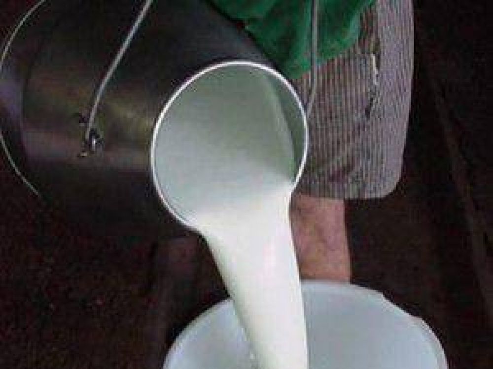 Tamberos solicitan que desde la provincia intercedan ante Nacin por el tope al precio de la leche