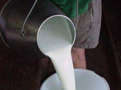 Tamberos solicitan que desde la provincia intercedan ante Nación por el tope al precio de la leche