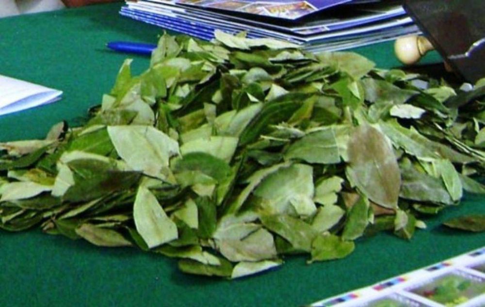 Secuestran 120 kg. de hojas de coca