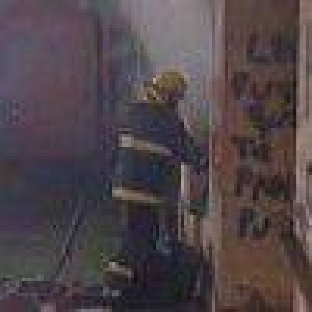 Dos ni�os murieron al incendiarse una casa en Laguna Blanca