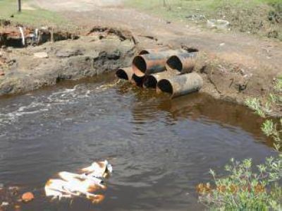 Piden una �resoluci�n pol�tica� sobre un proyecto ambiental