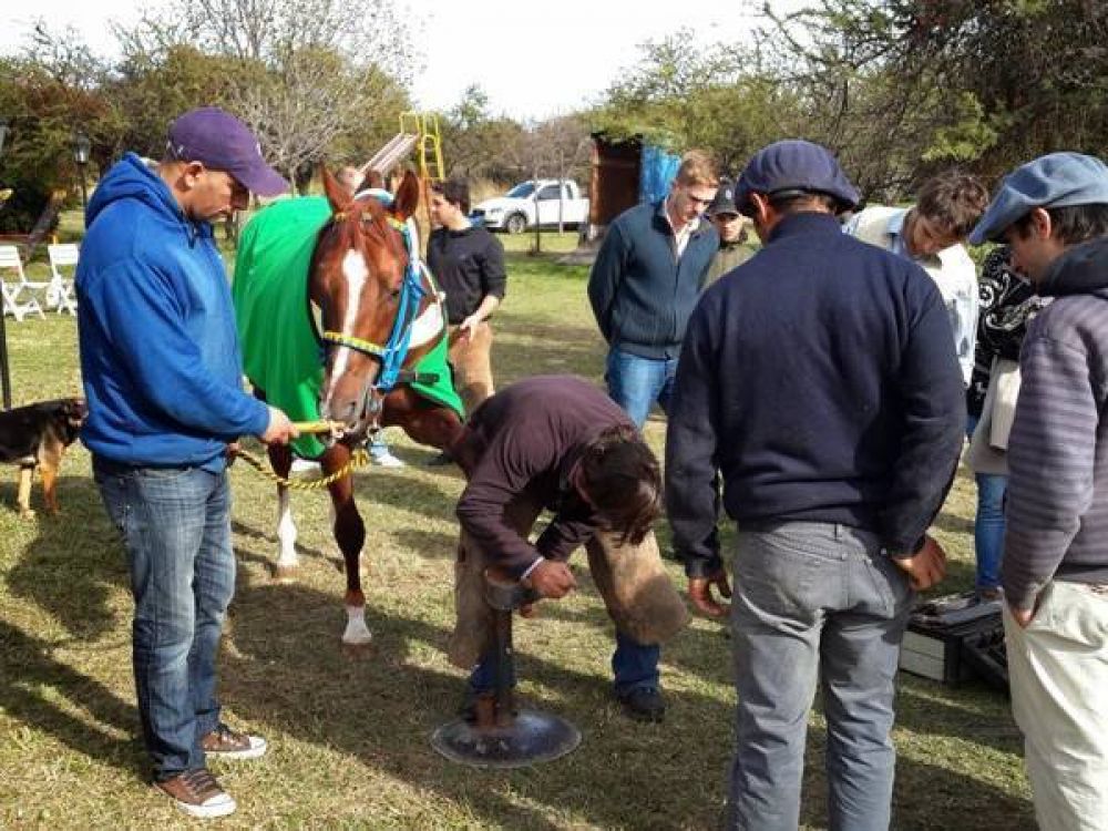 Cuatro d�as para hablar s�lo de caballos