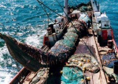 Santa Cruz fue la provincia donde m�s cayeron los desembarques en la pesca