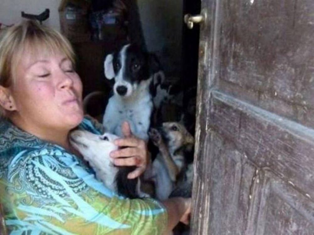 Lanzaron una bomba casera y mataron perros del refugio �San Roque�