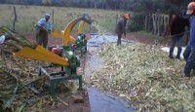 Servicio para peque�os productores ganaderos