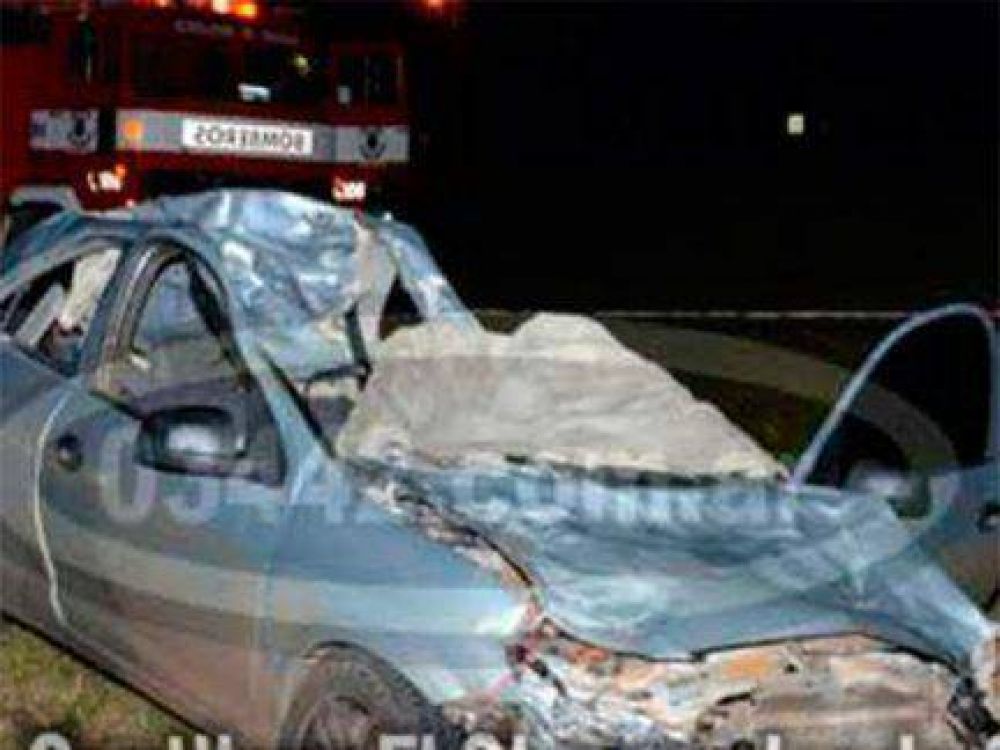 Automovilista muri� tras chocar un caballo que cay� sobre el auto y lo aplast�