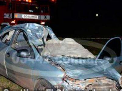 Automovilista muri� tras chocar un caballo que cay� sobre el auto y lo aplast�