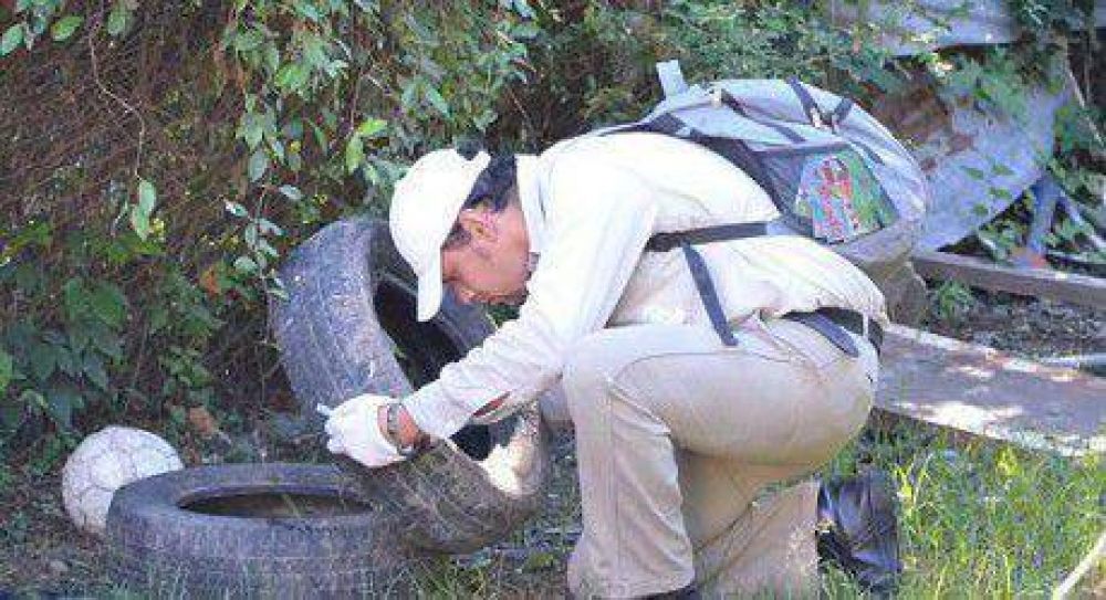 Trabajos contra el dengue en el barrio San Antonio