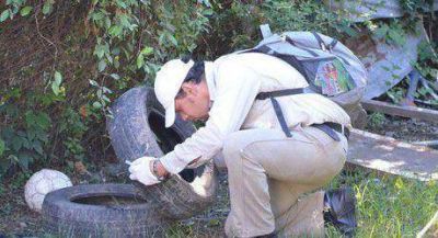 Trabajos contra el dengue en el barrio San Antonio