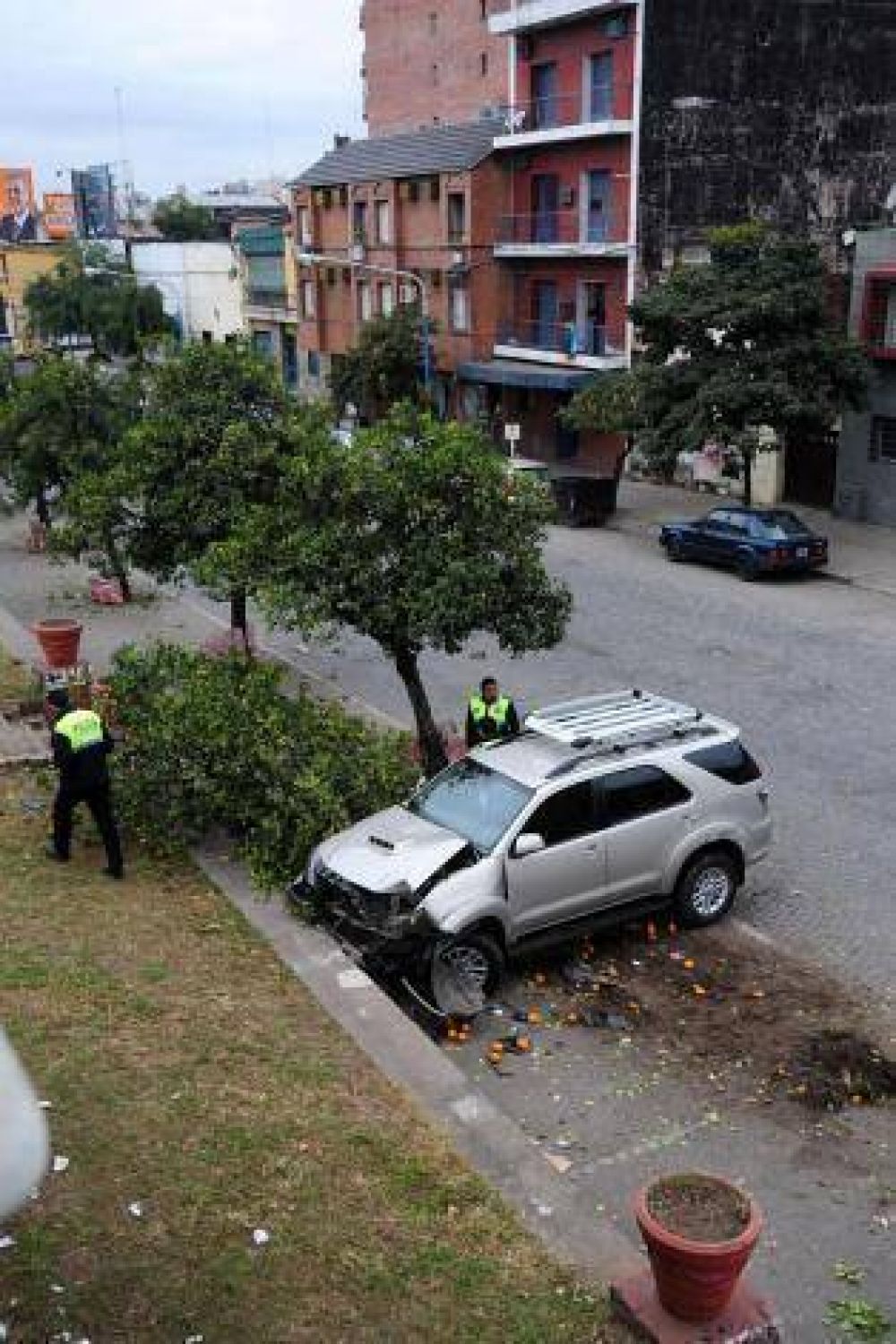 Salt� del naranjo a tiempo para evitar que lo atropellaran