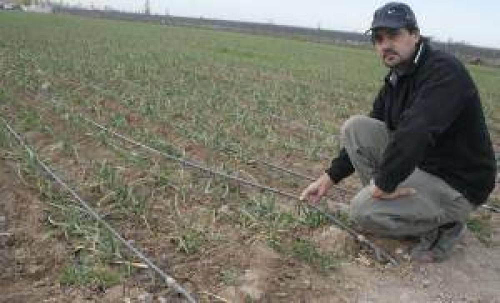 Agricultores: nuevos cr�ditos para riego a tasa subsidiada