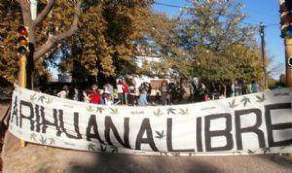 San Juan, la provincia con menos causas por tenencia de droga en Cuyo
