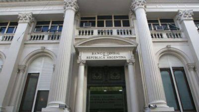 El Central congela el d�lar oficial en $ 8,13 y frena importaciones ante el avance del blue