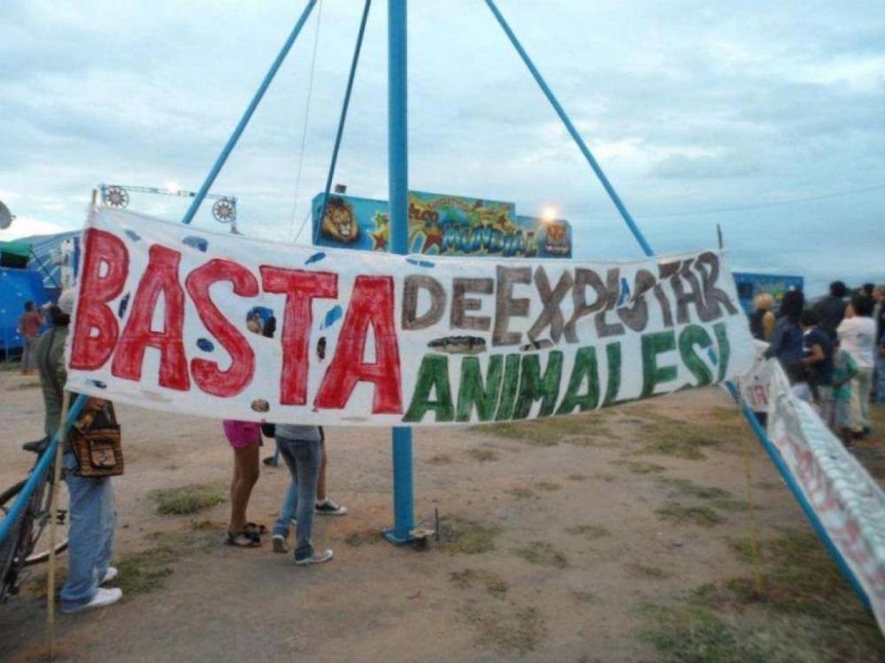Presentaron un anteproyecto para prohibir espect�culos con animales en Jujuy