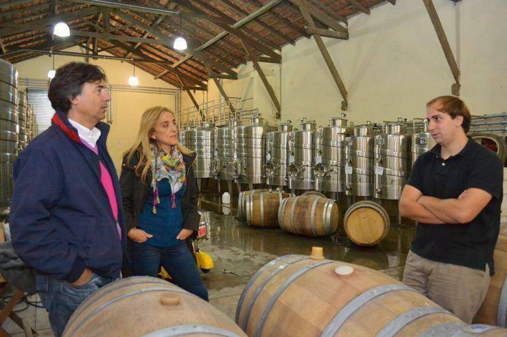 Vino producido en General Pueyrredon, premiado en Vinandino 2013