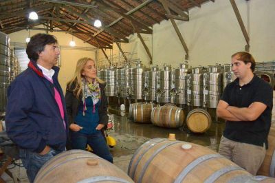 Vino producido en General Pueyrredon, premiado en Vinandino 2013