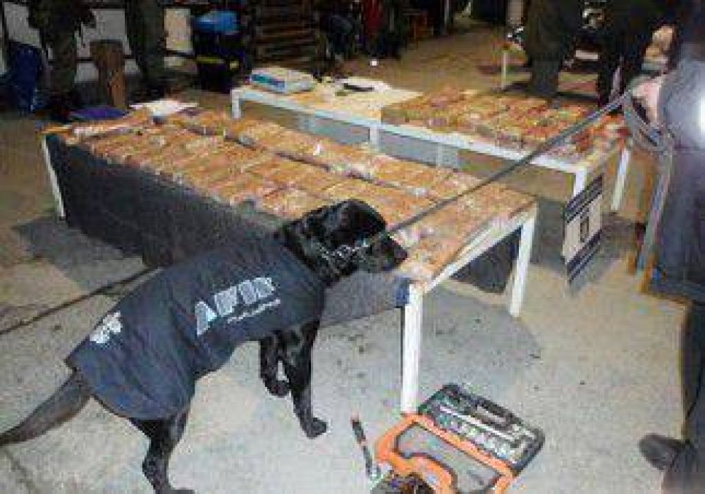 Incautaron 90 kg de marihuana que iban rumbo a Chile 