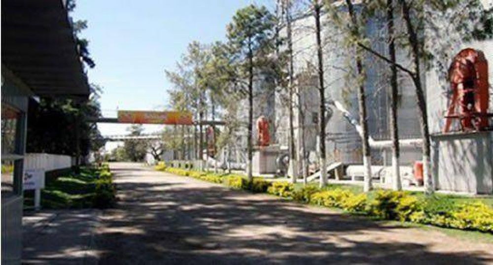 Ponen en venta el molino arrocero de Romang