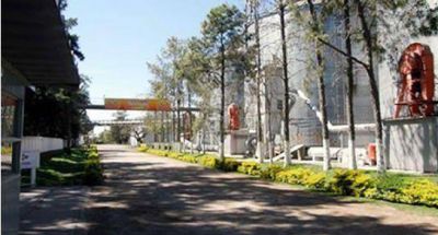 Ponen en venta el molino arrocero de Romang