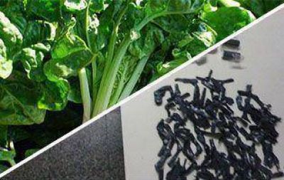 Desarticularon una banda que vend�a droga en verduras